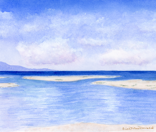 Three Rooker Sandbar Island painting by ERICA MAC.